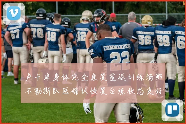 卢卡库身体完全康复重返训练场那不勒斯队医确认恢复合练状态良好