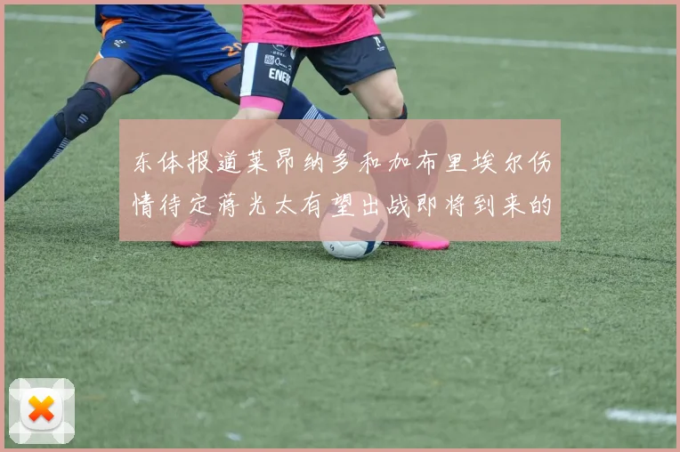 东体报道莱昂纳多和加布里埃尔伤情待定蒋光太有望出战即将到来的比赛